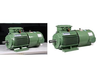 变频调速电磁制动电动机